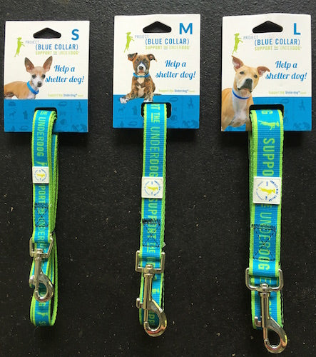 Call To Action Collar and Leash Set